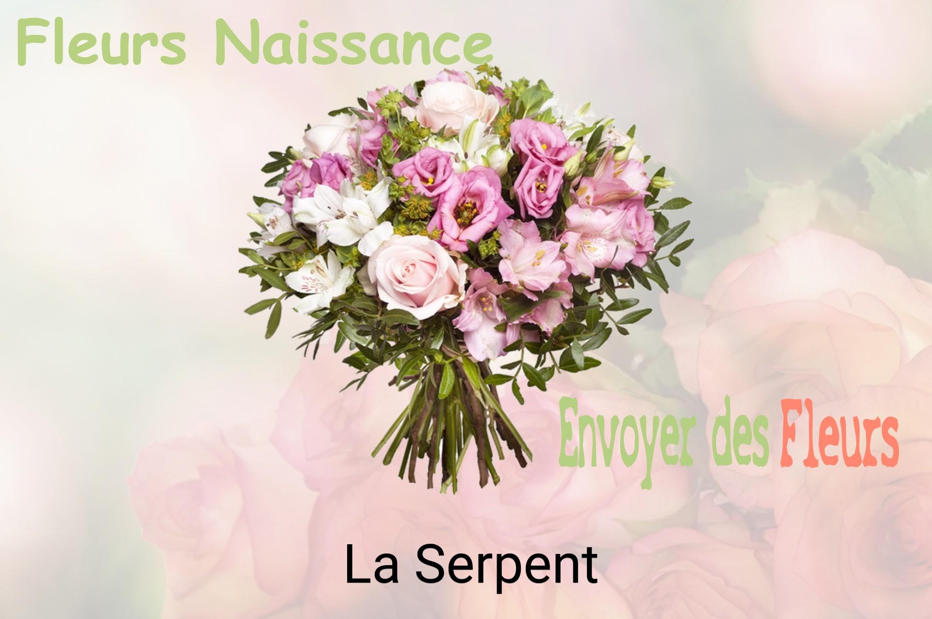 Bouquet de fleurs de naissance livré à La Serpent